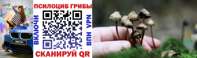Псилоцибиновые грибы Magic Shrooms  Ишим 