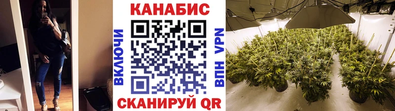 купить наркотики цена  Ишим  Канабис SATIVA & INDICA 